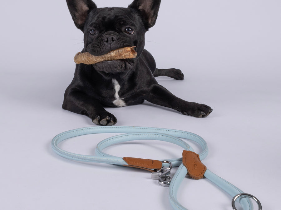 Leads