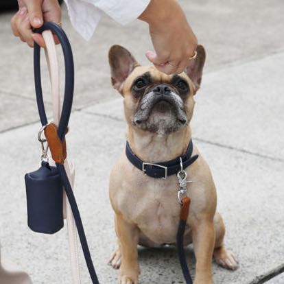 Billie Poop Bag Holder  - Dark Navy