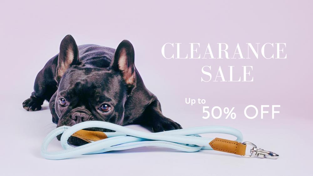 Clearance sale Dog and lead