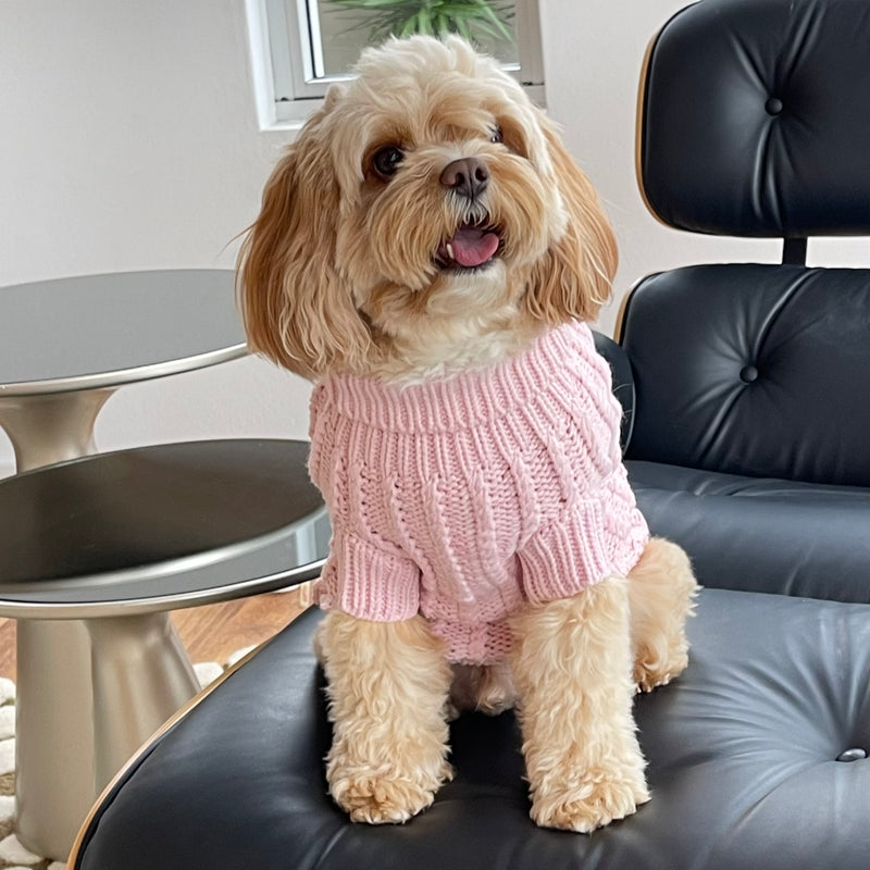 Cute dog wearing pink cable knit dog jumper