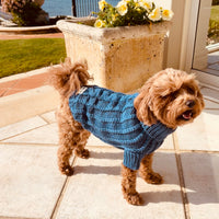 Woollen Dog Jumper / Sweater - Blue