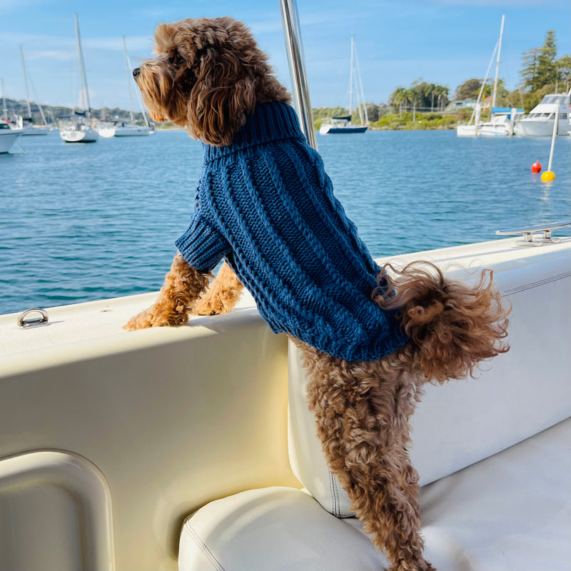 Woollen Dog Jumper / Sweater - Blue