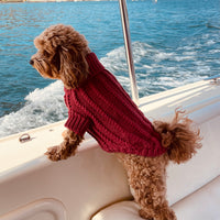 Woollen Dog Jumper / Sweater - Rustic Red