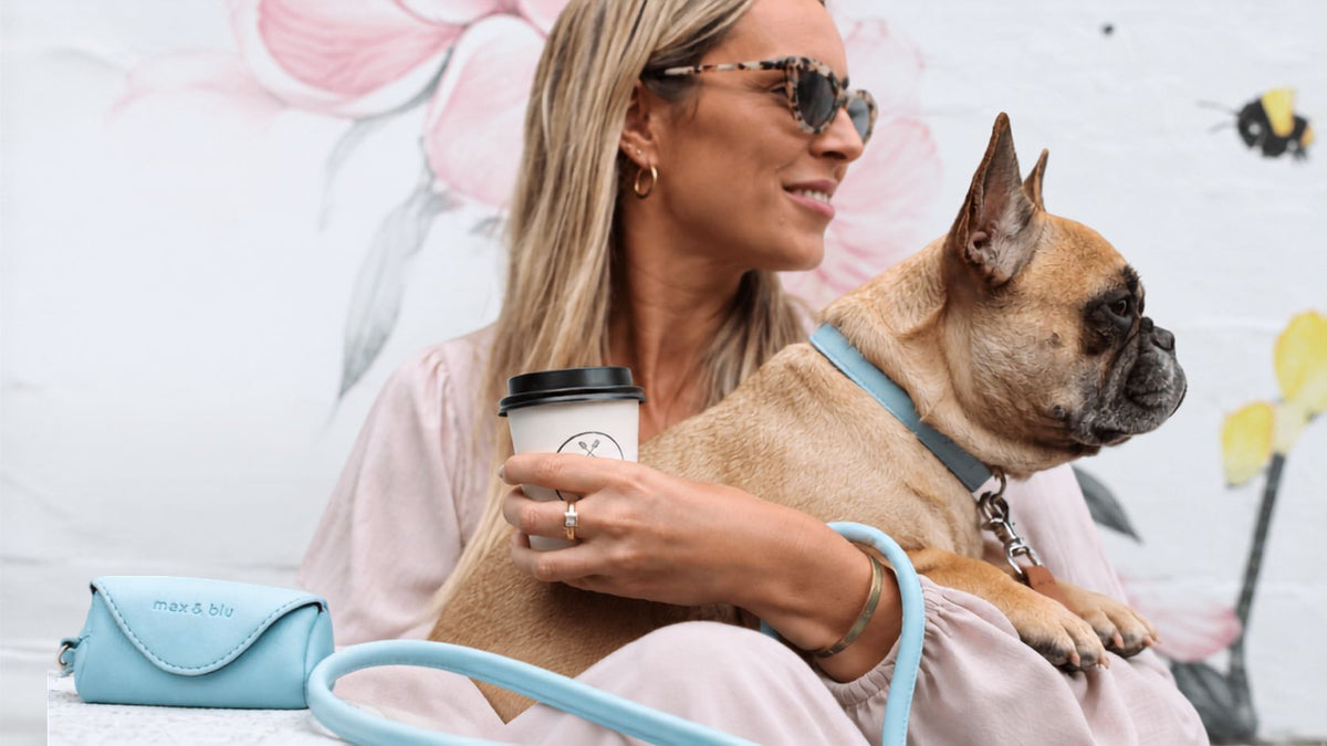 Modern luxury for dogs