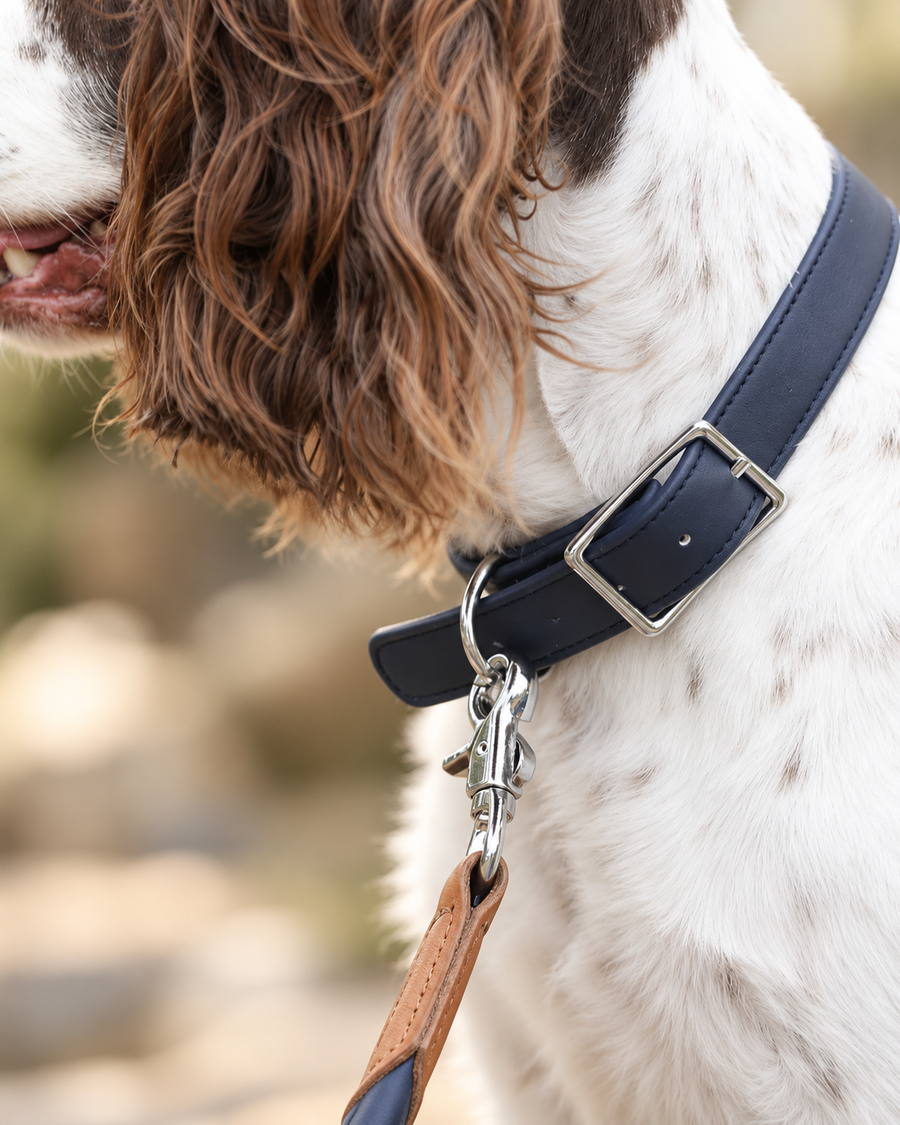 Collars