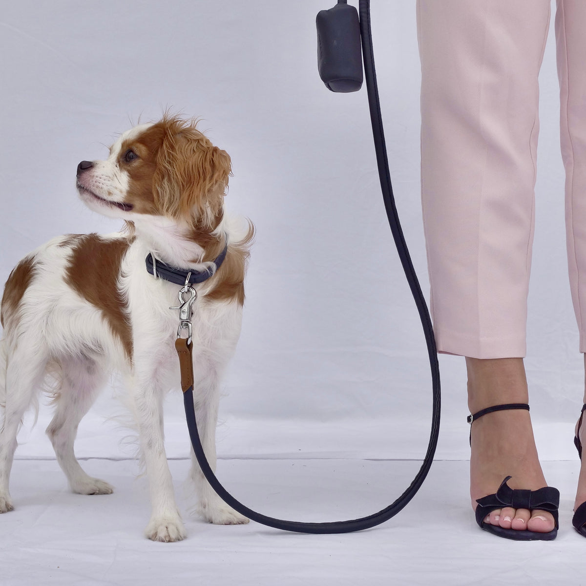 Billie Dog Lead - Dark Navy