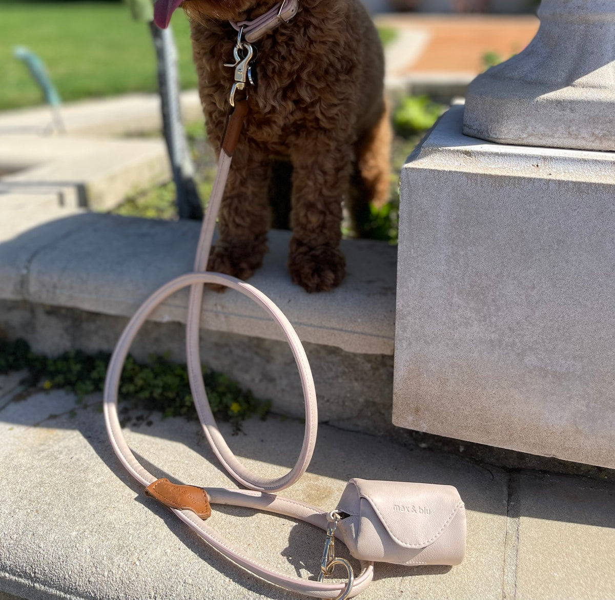 Billy lead - blush (pale pink) with collar and poop bag pouch