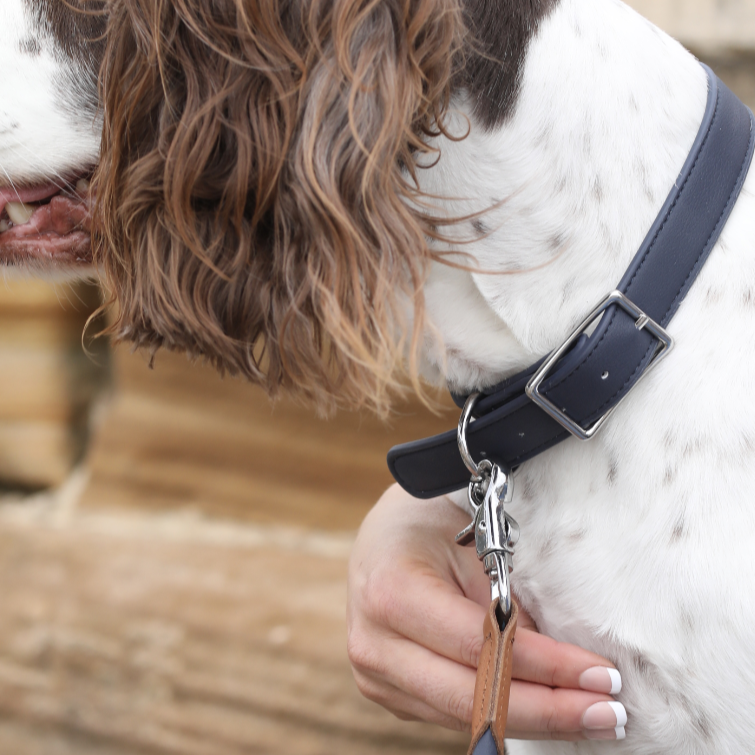 Dark Navy Vegan Leather Dog Collar